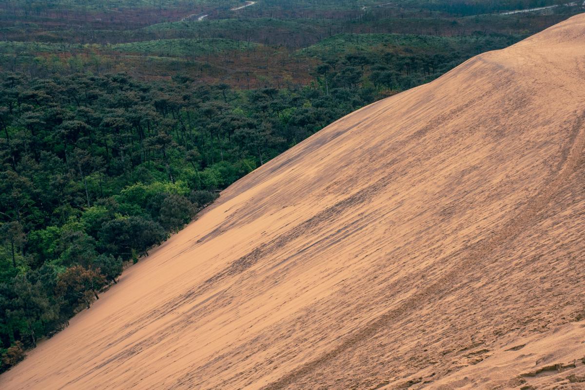 Dune du Pilat : va-t-elle disparaitre ?
